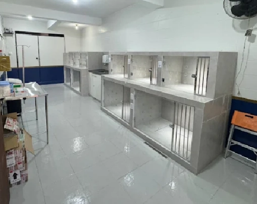 Captura de tela 2026-01-15 135424 (4)