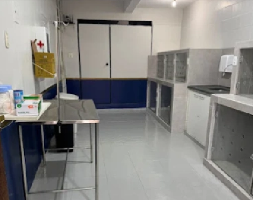 Captura de tela 2026-01-15 135424 (5)